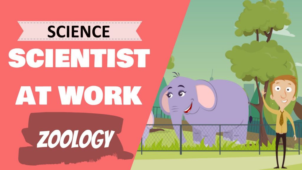 The final lesson in the "Scientists at Work" lesson unit. In this lesson we look at the work a zoologist does!